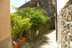 VIA-TASSO
